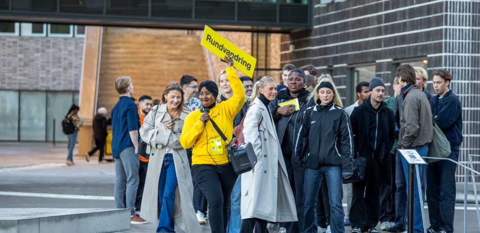 Linnéuniversitetet (Växjö)